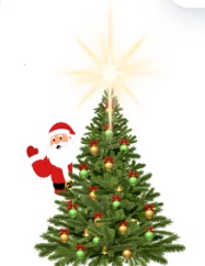 Grand Illumination!  Join us as we light up our gardens with beautiful Christmas lights! 